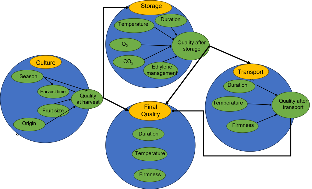 Quality progression and its modelling